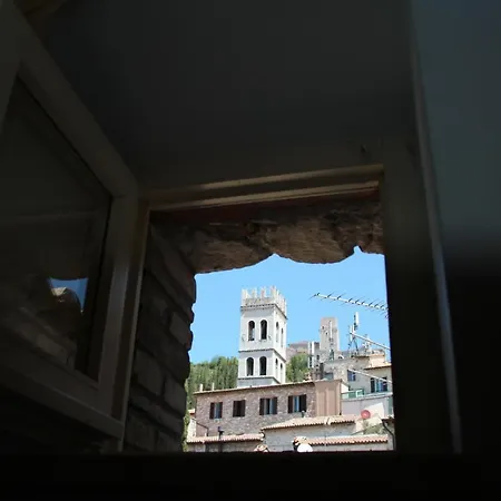 Pax Assisi